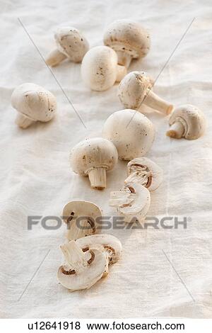 Mushrooms on textile View Large Photo Image Stock Photo - Mushrooms on textile. Fotosearch