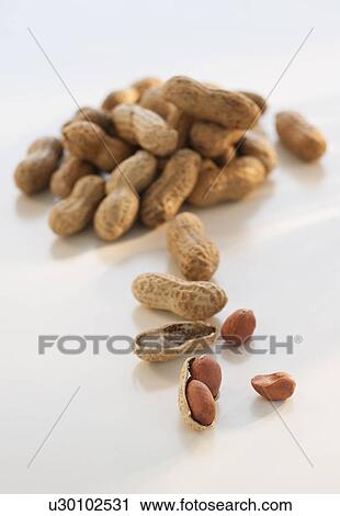 "Peanuts, studio shot" View Large Photo Image Stock Image - "Peanuts, studio shot". Fotosearch