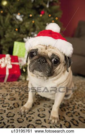 pug christmas presents