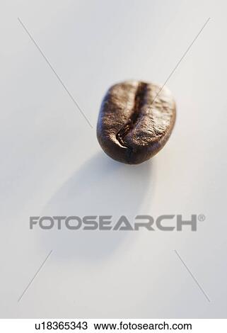 "Roast coffee bean, studio shot" View Large Photo Image Stock Image - "Roast coffee bean, studio shot". Fotosearch