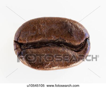 Stock Photography - "Roast coffee bean, studio shot". Fotosearch