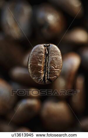 "Roast coffee bean, studio shot" View Large Photo Image Stock Photography - "Roast coffee bean, studio shot". Fotosearch