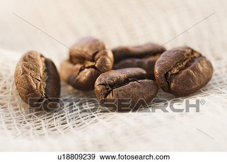 "Roast coffee beans on fabric, studio shot" View Large Photo Image Stock Photo - "Roast coffee beans on fabric, studio shot". Fotosearch