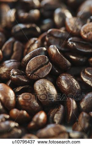 "Roast coffee beans, studio shot" View Large Photo Image Stock Photo - "Roast coffee beans, studio shot". Fotosearch