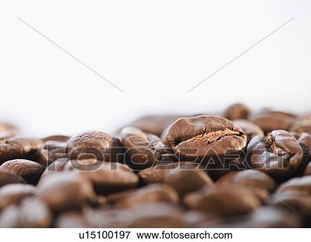Stock Photo - "Roast coffee beans, studio shot". Fotosearch