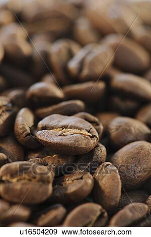 "Roast coffee beans, studio shot" View Large Photo Image Stock Photo - "Roast coffee beans, studio shot". Fotosearch