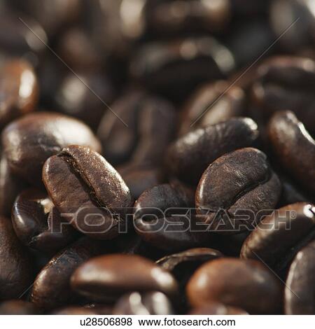 Stock Photo - "Roast coffee beans, studio shot". Fotosearch