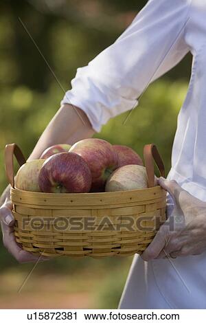 Stock Image - Senior woman holding basket with apples. Fotosearch