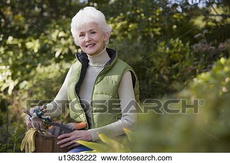 Senior woman holding box with gardening tools View Large Photo Image Stock Image - Senior woman holding box with gardening tools. Fotosearch