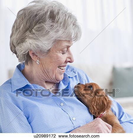 Senior woman hugging puppy View Large Photo Image Stock Image - Senior woman hugging puppy. Fotosearch