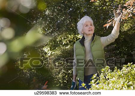 Senior woman in orchard View Large Photo Image Stock Image - Senior woman in orchard. Fotosearch