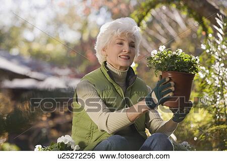 Stock Photograph - Senior woman sitting in domestic garden holding potted plant. Fotosearch