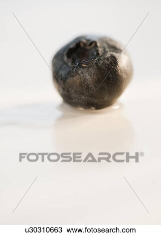 Single blueberry View Large Photo Image Stock Image - Single blueberry. Fotosearch