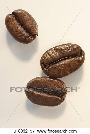 "Three roast coffee beans, studio shot" View Large Photo Image Stock Photo - "Three roast coffee beans, studio shot". Fotosearch