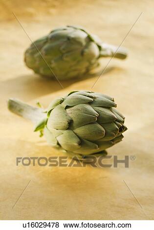 Stock Photo - Two artichokes. Fotosearch
