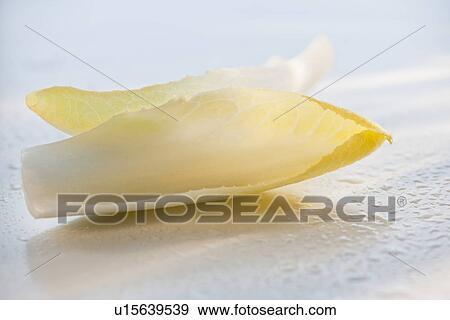 Stock Photo - Two leaves of endive on wet surface. Fotosearch