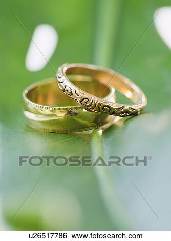 Two wedding rings on leaf View Large Photo Image Stock Photograph - Two wedding rings on leaf. Fotosearch