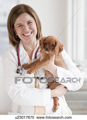 Stock Photography - Vet holding puppy. Fotosearch