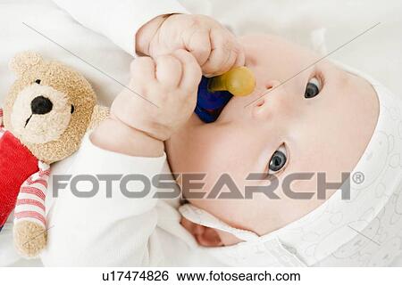 Baby nibbling on pacifier View Large Photo Image Stock Photograph - Baby nibbling on pacifier. Fotosearch