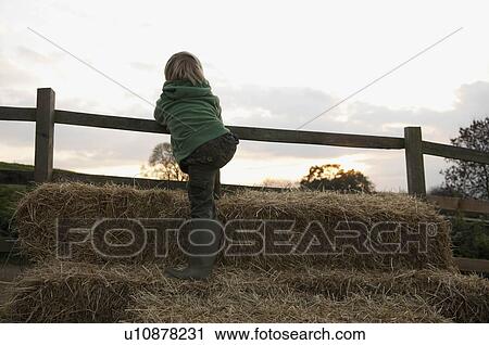 Boy climbing on hay bales View Large Photo Image Stock Image - Boy climbing on hay bales. Fotosearch