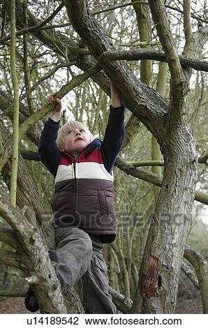 Stock Image - Boy climbing on tree branches. Fotosearch