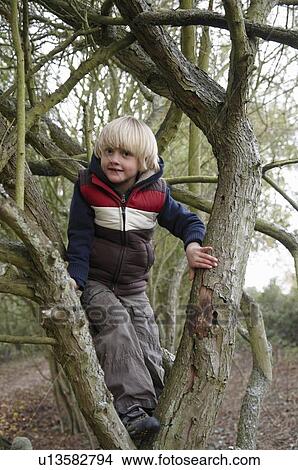 Picture - Boy climbing tree branches. Fotosearch