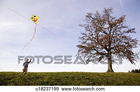 Boy flying a Kite View Large Photo Image Stock Photo - Boy flying a Kite. Fotosearch