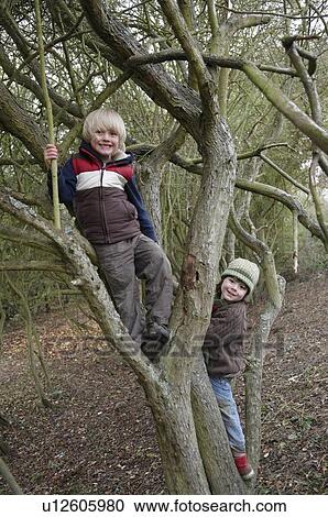 Boys climbing on tree branches View Large Photo Image Stock Image - Boys climbing on tree branches. Fotosearch