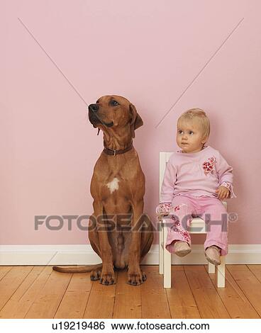 Stock Photograph - Dog sitting next to female toddler. Fotosearch