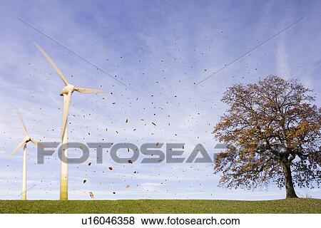 "Falling leaves, tree, Wind Turbines" View Large Photo Image Stock Photo - "Falling leaves, tree, Wind Turbines". Fotosearch