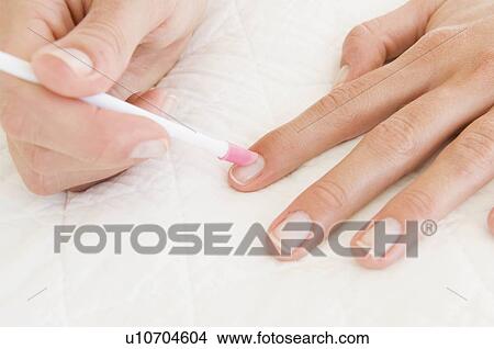 Picture - Female beauty. Fotosearch