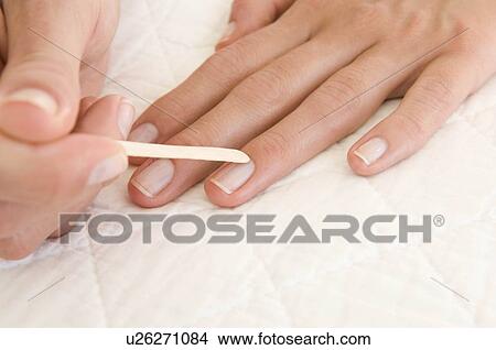 Picture - Female beauty. Fotosearch