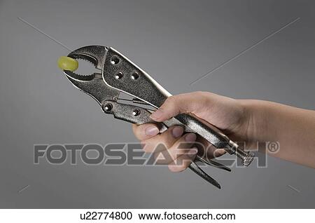 Female hand crushing grape with wrench View Large Photo Image Stock Image - Female hand crushing grape with wrench. Fotosearch