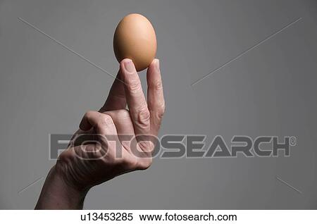 Female hand holding an egg View Large Photo Image Stock Photography - Female hand holding an egg. Fotosearch
