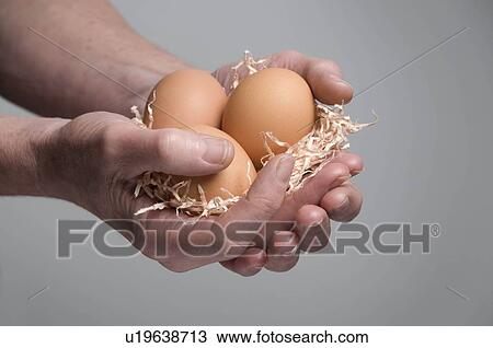 Stock Image - Female hand holding eggs. Fotosearch