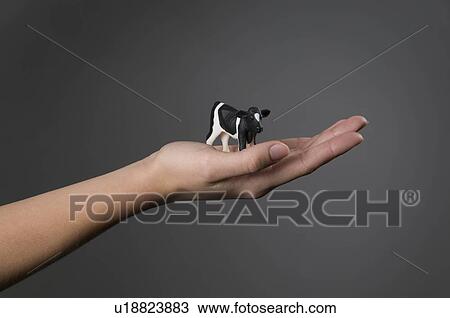 Female hand holding model cow View Large Photo Image Stock Image - Female hand holding model cow. Fotosearch