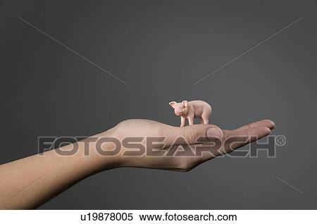 Stock Photography - Female hand holding model pig. Fotosearch