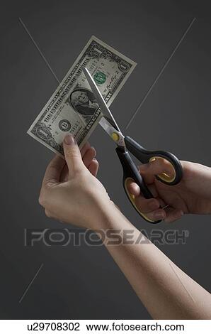 Female hands cutting a Dollar note View Large Photo Image Stock Image - Female hands cutting a Dollar note. Fotosearch