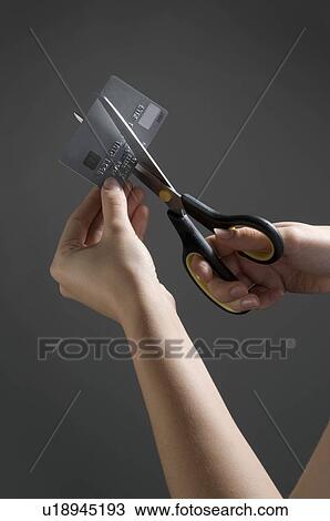 Female hands cutting credit card View Large Photo Image Stock Image - Female hands cutting credit card. Fotosearch