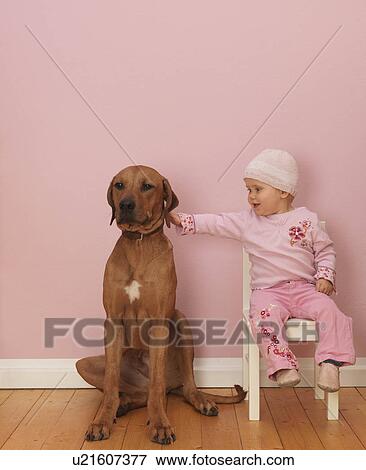 Stock Photo - Female toddler stroking dog. Fotosearch
