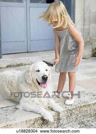 Picture - Girl brushing her dog. Fotosearch