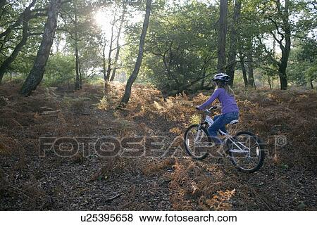 Girl cycling in Forest View Large Photo Image Stock Photo - Girl cycling in Forest. Fotosearch