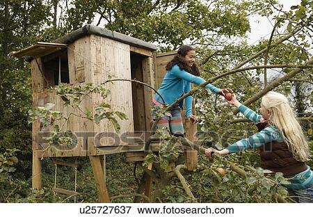 Stock Photo - Girl in tree passing apple to friend. Fotosearch