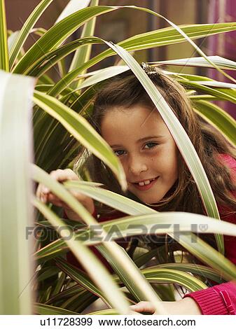 Girl peering through leaves of plant View Large Photo Image Stock Photo - Girl peering through leaves of plant. Fotosearch