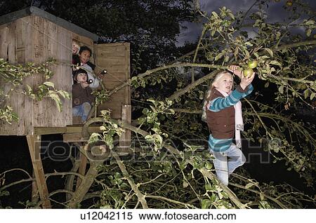 Girl picking apple friends watching View Large Photo Image Stock Photography - Girl picking apple friends watching. Fotosearch