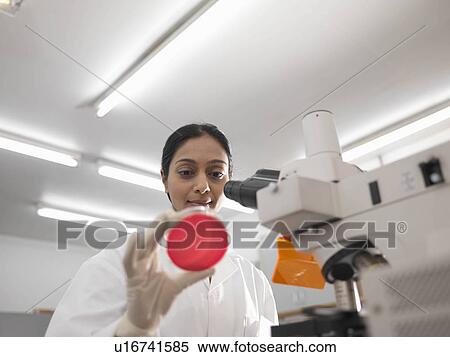 Stock Photography - Laboratory technician and petri dish. Fotosearch