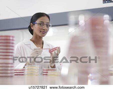 Stock Image - Laboratory technician with petri dish. Fotosearch