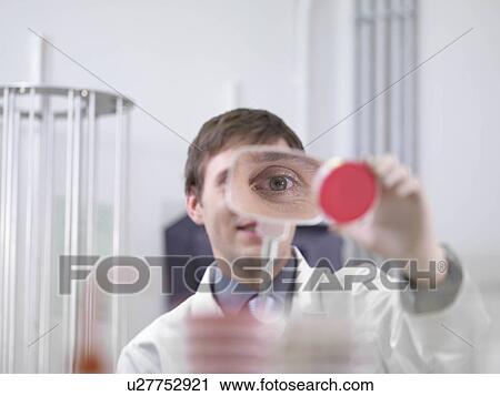 Laboratory technician with petri dish View Large Photo Image Stock Image - Laboratory technician with petri dish. Fotosearch
