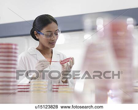 Stock Photo - Laboratory technician with petri dish. Fotosearch