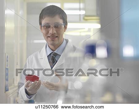 Laboratory technician with petri dish View Large Photo Image Stock Photograph - Laboratory technician with petri dish. Fotosearch